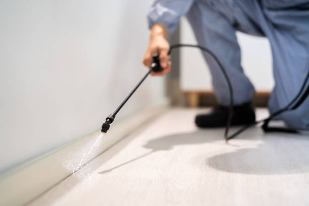 Professional exterminator conducting IPM assessment in Edgar